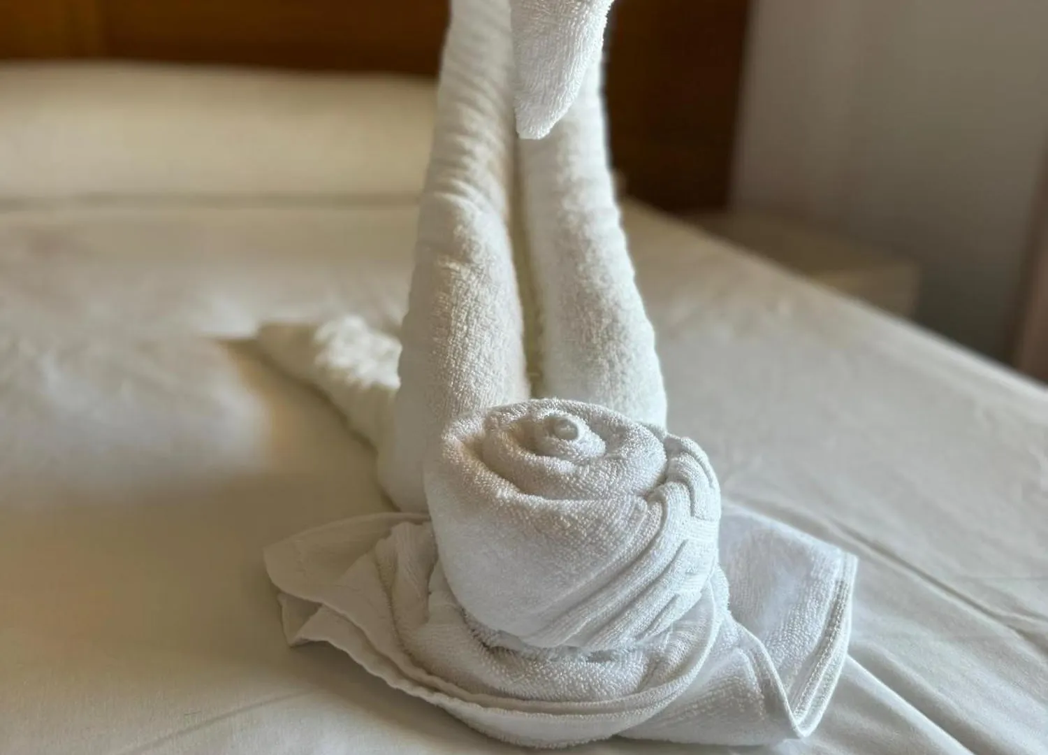 Apartmán Albatros Golf & Sea View San Miguel de Abona 0*,  Španělsko